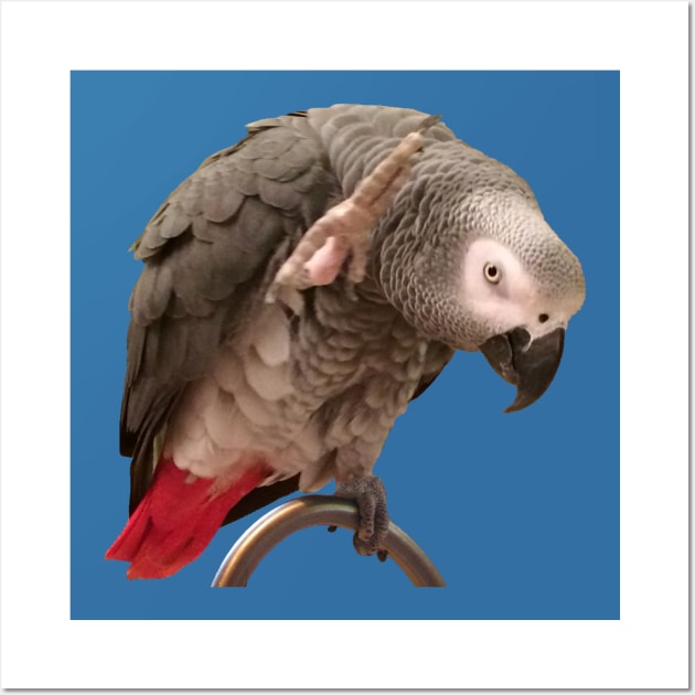 African Grey Parrot Funny Wave Wall Art by Einstein Parrot